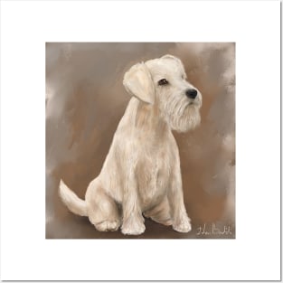 Painting of a Cream Coated Schnauzer with Beige Background Posters and Art